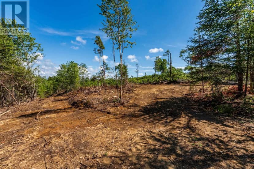 Lot East Concession Road — photo 2 of 17