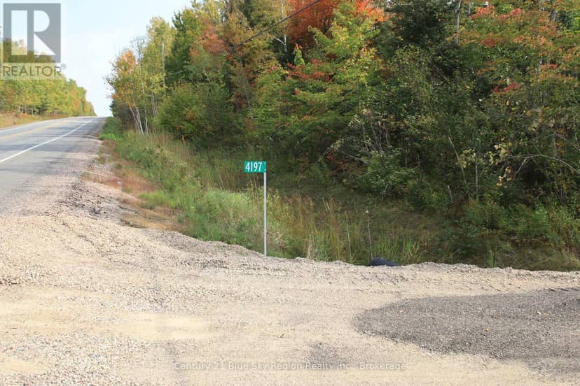 4197 Highway 654, Nipissing, photo 2