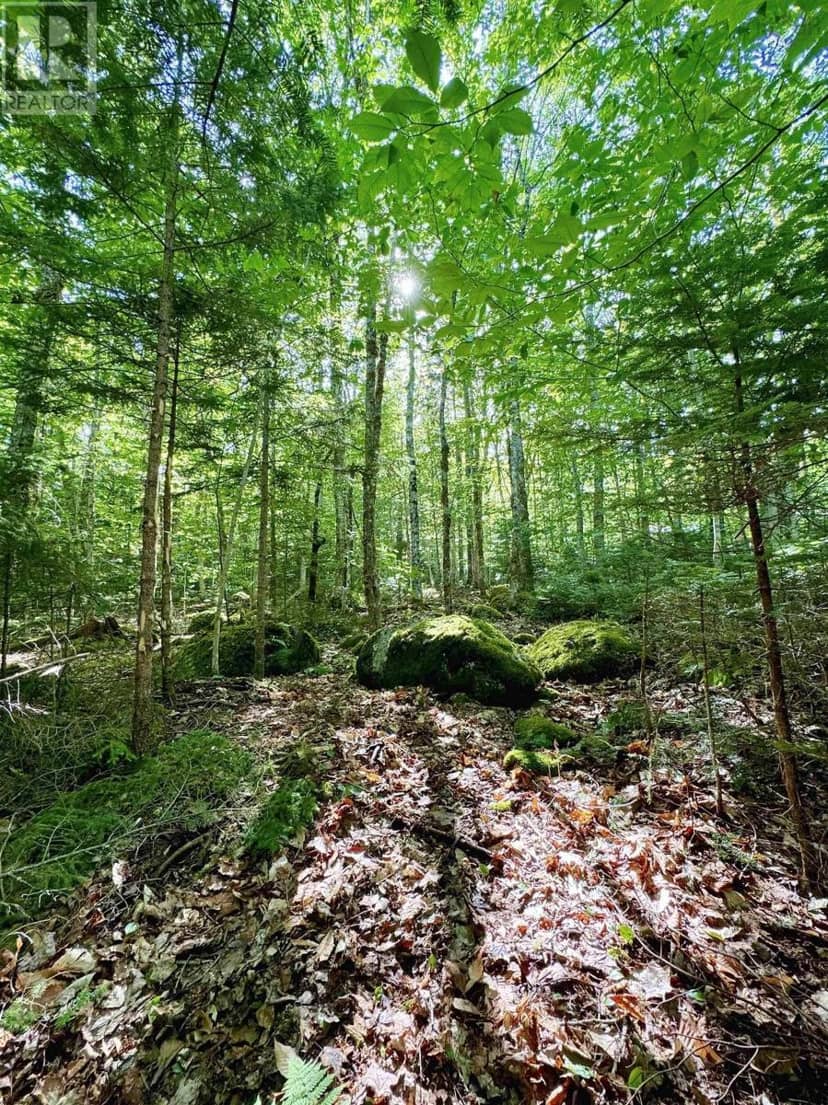 Lot 40 Cliff Road — photo 4 of 6