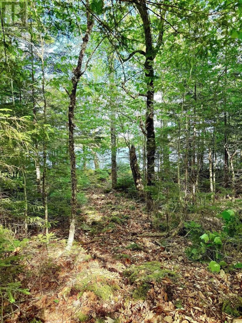 Lot 40 Cliff Road — photo 5 of 6