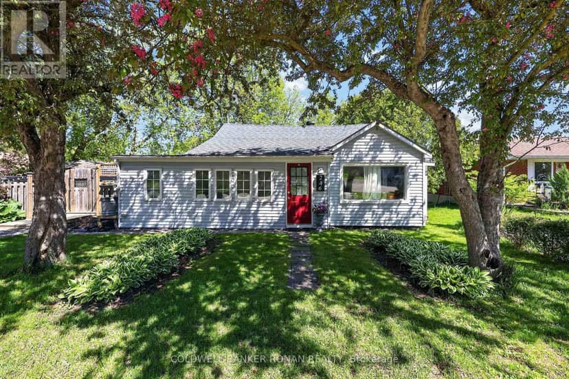 246 Weir Street, Clearview, photo 3