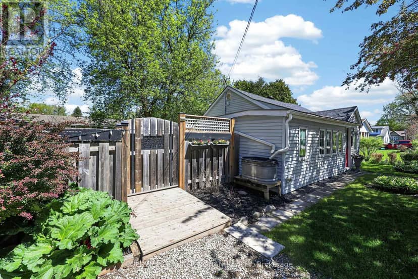 246 Weir Street, Clearview, photo 4