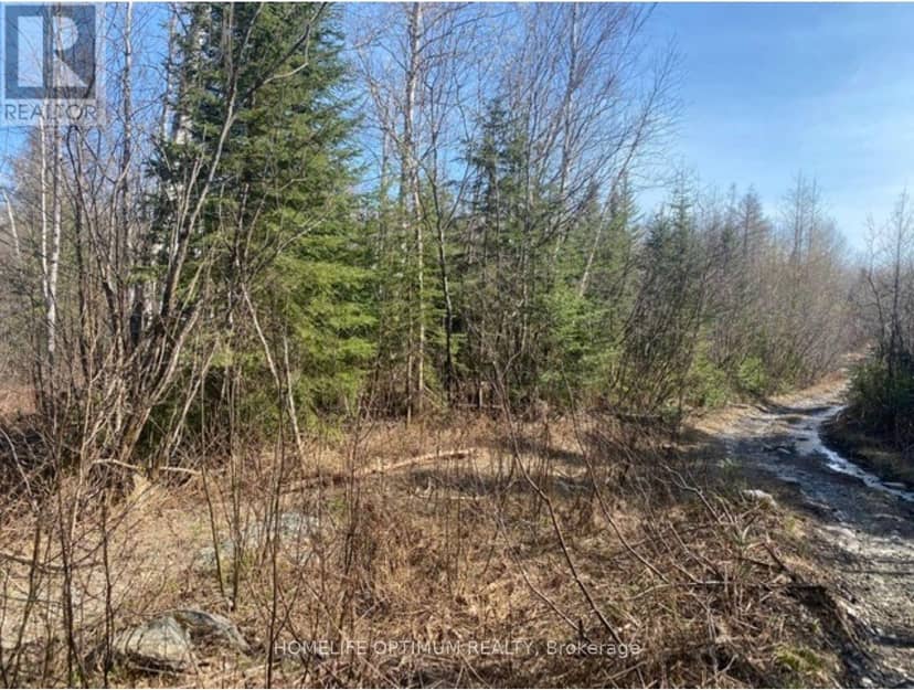 Pcl 10742 McGarry, Timiskaming, photo 3