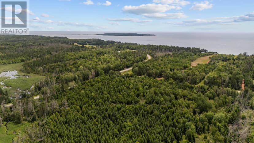 LOT 1 SOUTH DEGROS MARSH Road — photo 9 of 10