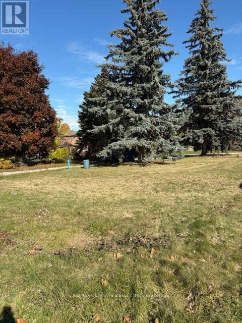 281 Barrie Street — photo 3 of 13