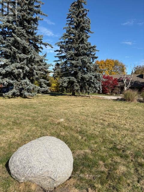 281 Barrie Street — photo 7 of 13