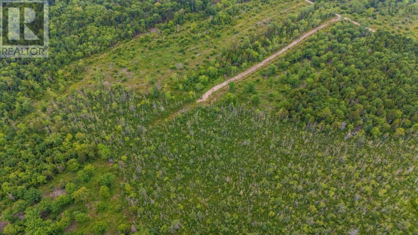 Lot East Concession Road — photo 6 of 15