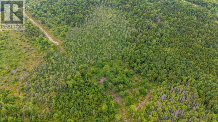 Lot East Concession Road — photo 8 of 15