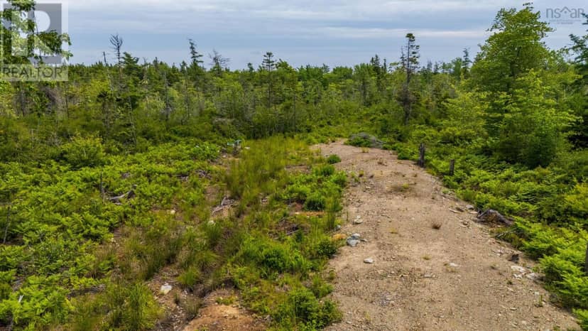 Lot East Concession Road — photo 12 of 15