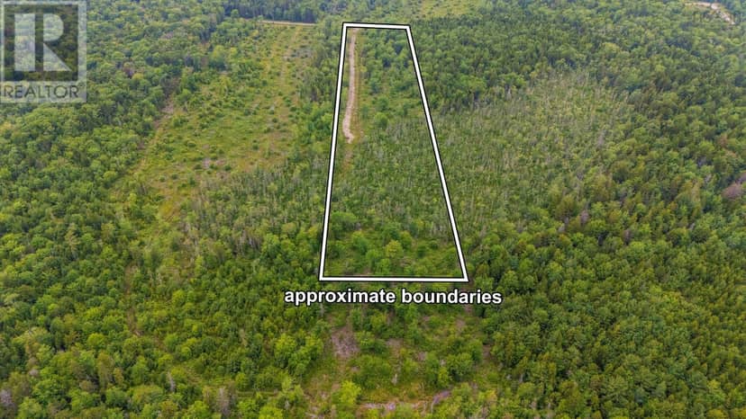 Lot East Concession Road — photo 2 of 15