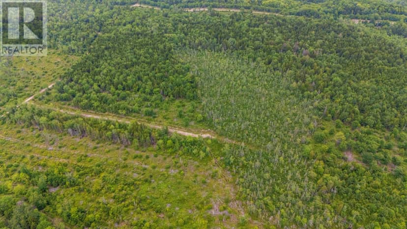 Lot East Concession Road — photo 9 of 15