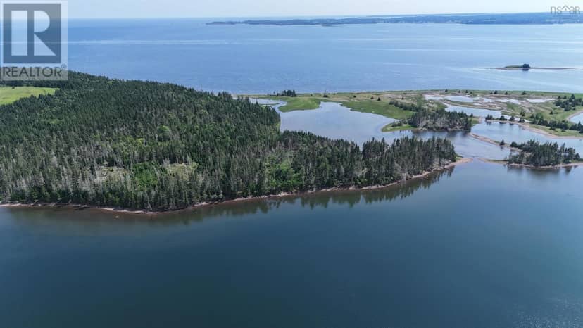 Grand Gully Island — photo 16 of 40