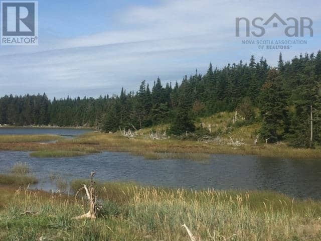 Grand Gully Island — photo 29 of 40