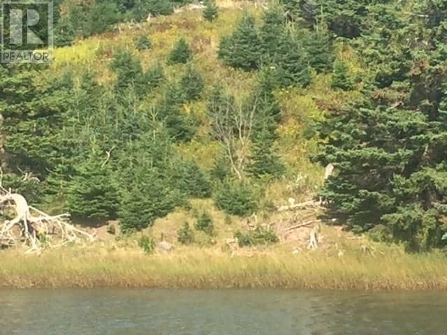 Grand Gully Island — photo 39 of 40