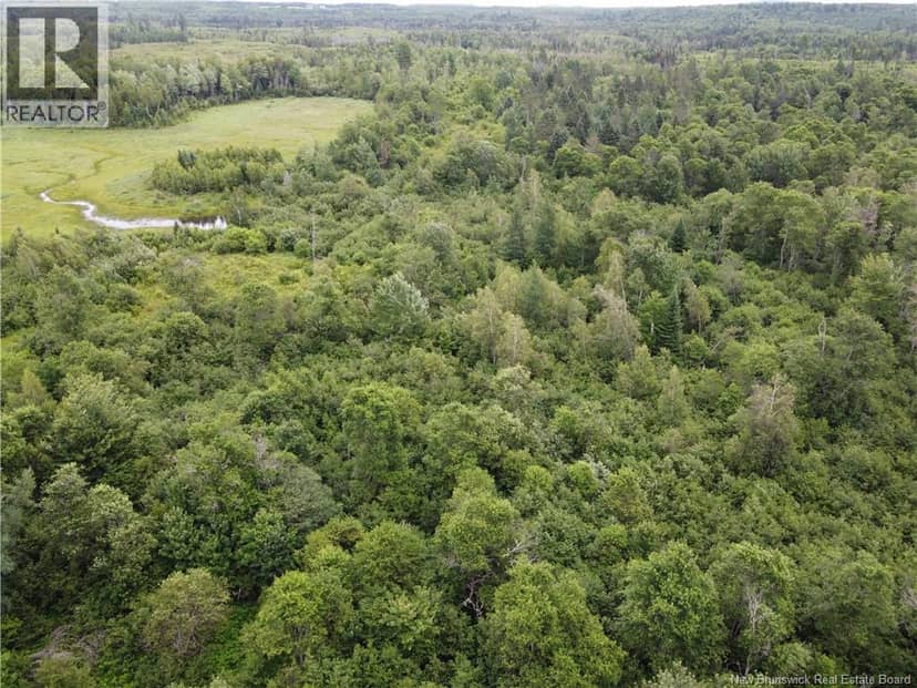 0000 Blowdown Rd — photo 2 of 3