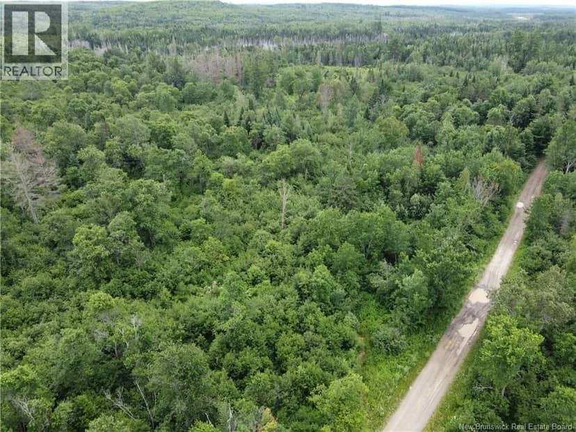 0000 Blowdown Rd — photo 3 of 3
