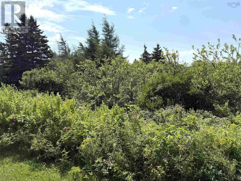 Lot 33 Elderberry Drive, Malagash Point, photo 3