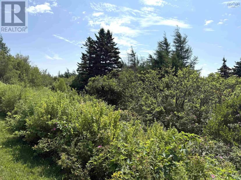 Lot 33 Elderberry Drive, Malagash Point, photo 4