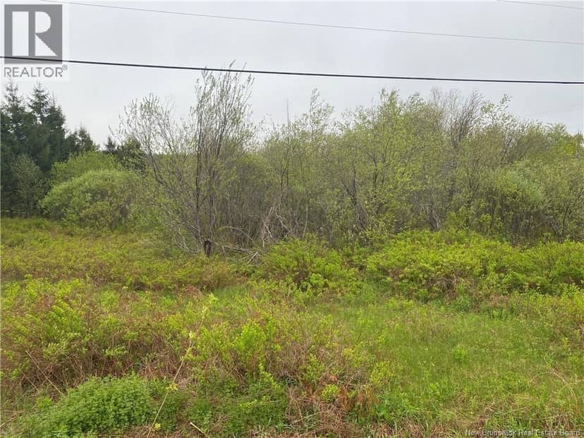 Lot Will Rogers Road — photo 1 of 3
