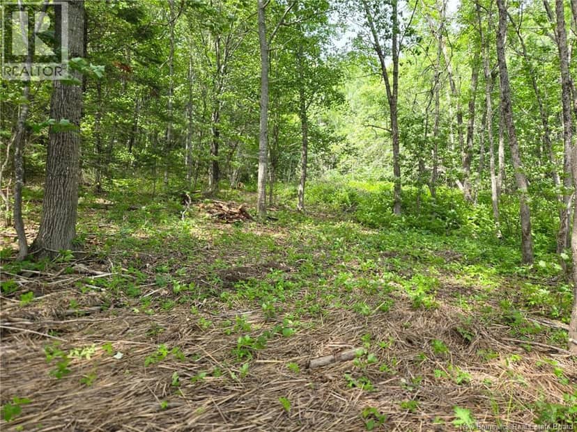 Lot Elm Hill Road — photo 26 of 31