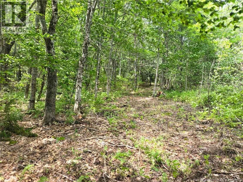 Lot Elm Hill Road — photo 17 of 31
