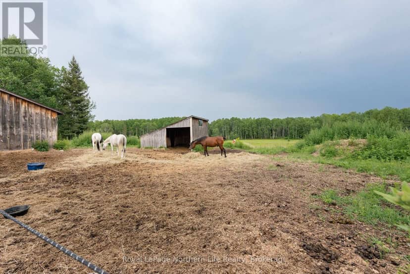 312 Johnson Road, East Ferris, photo 8