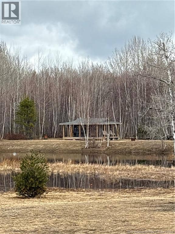 9.97 Hec Route 11 — photo 5 of 5
