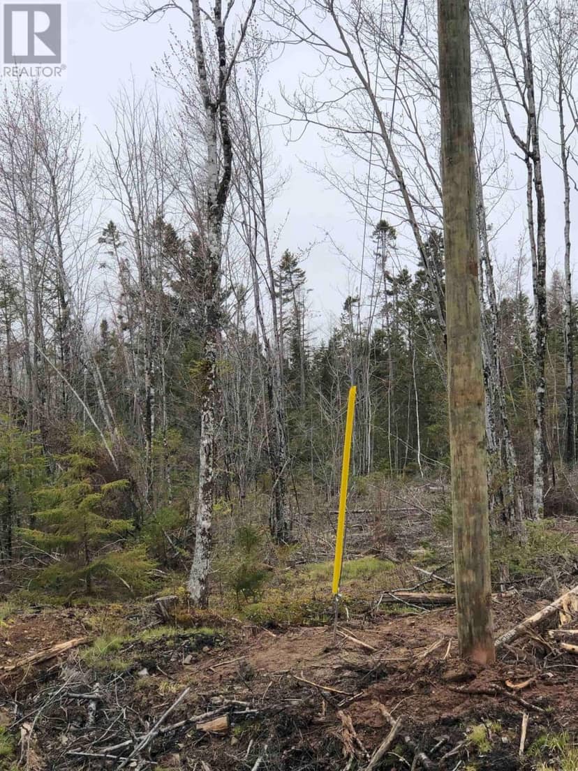 LOT 6 Tattrie Settlement Road — photo 10 of 14