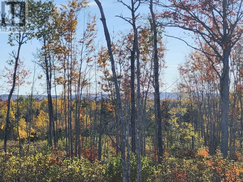 LOT 6 Tattrie Settlement Road — photo 9 of 14