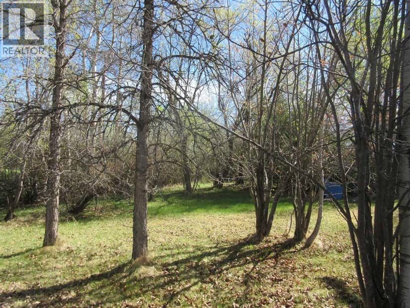 71037 Township Road 39-3, Rural Clearwater County, photo 3
