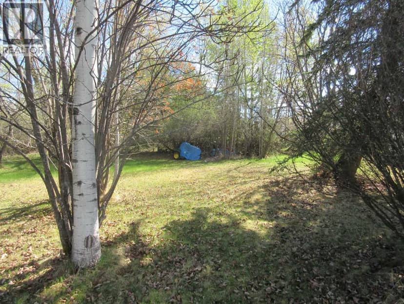 71037 Township Road 39-3, Rural Clearwater County, photo 2