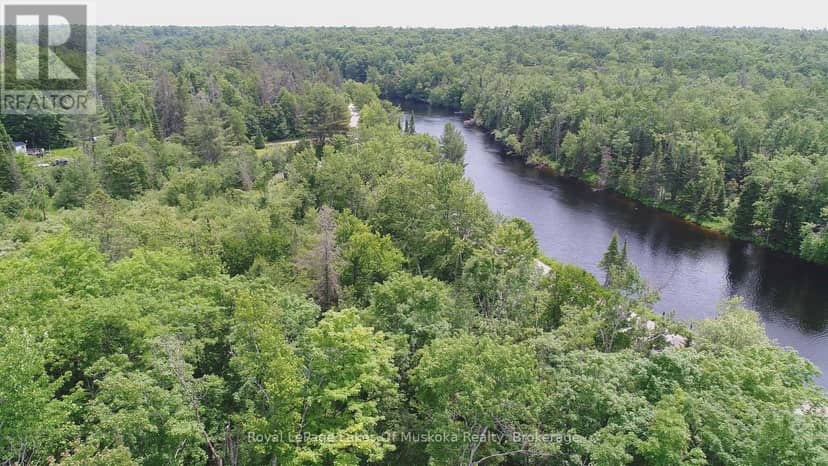 0 Matthiasville Road, Bracebridge, photo 2