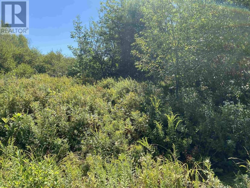 3666 Highway 203 — photo 10 of 13