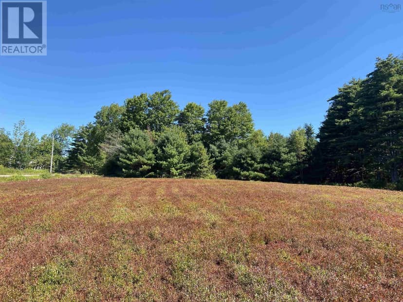 3666 Highway 203, East Kemptville, photo 7
