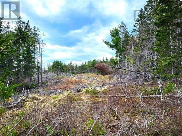 Lot Back Road — photo 10 of 25