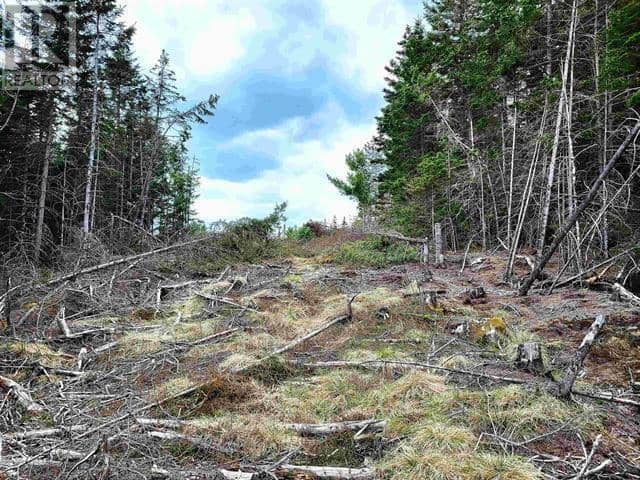 Lot Back Road — photo 11 of 25