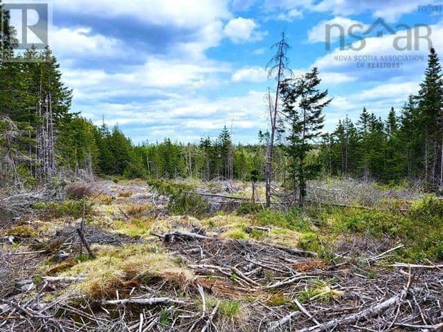 Lot Back Road — photo 12 of 25