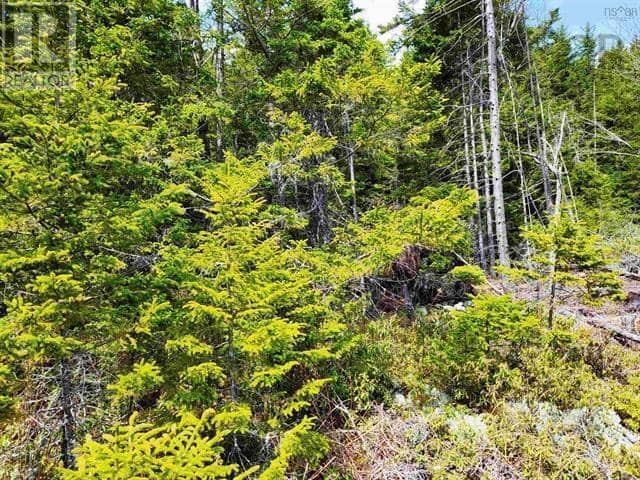 Lot Back Road, Voglers Cove, photo 2