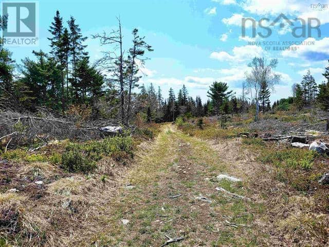 Lot Back Road — photo 24 of 25