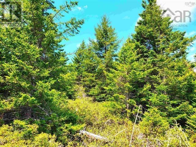 Lot Back Road — photo 3 of 25