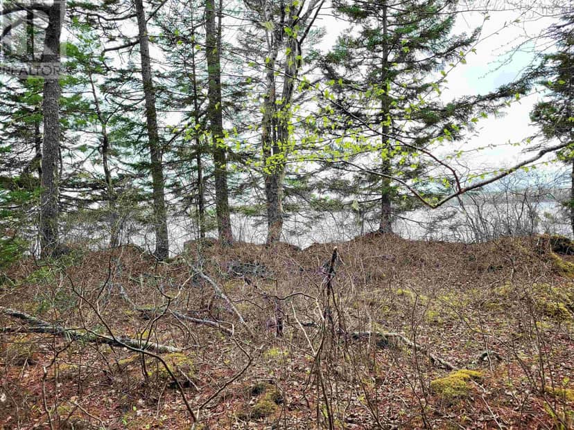 Lot Hirtle Road — photo 21 of 33