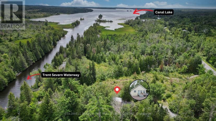 93 McGuire Beach Road, Kawartha Lakes, photo 2