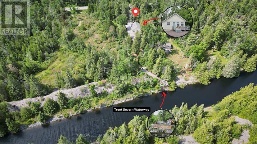 93 McGuire Beach Road, Kawartha Lakes, photo 4