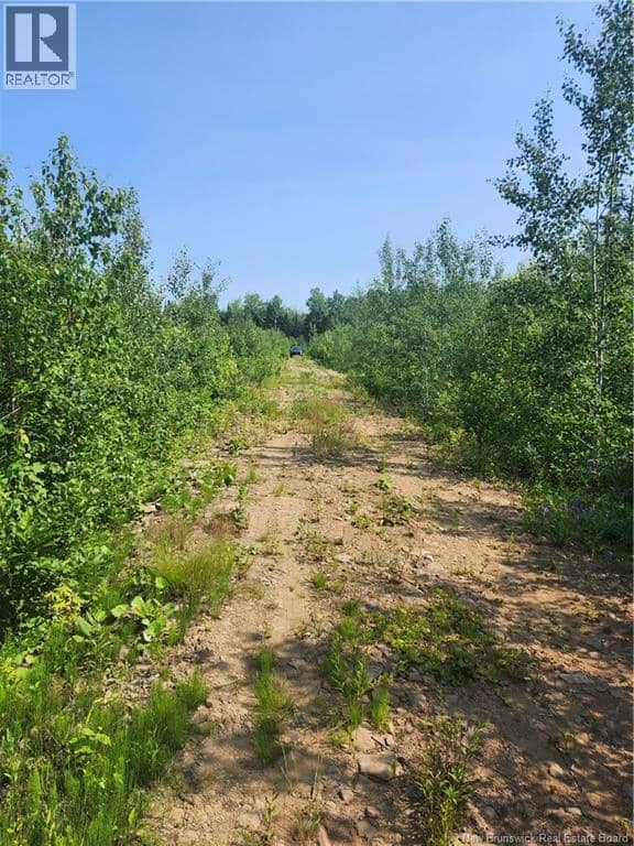 LOT 116 Highway — photo 2 of 4