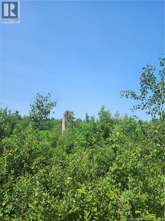 LOT 116 Highway — photo 3 of 4