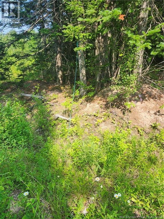 LOT 116 Highway — photo 4 of 4