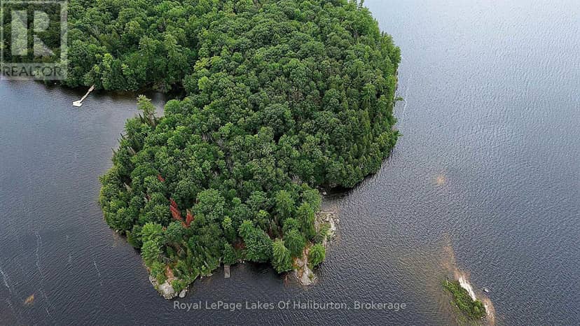 11440 Kushog Lake Wao Island, Algonquin Highlands, photo 3