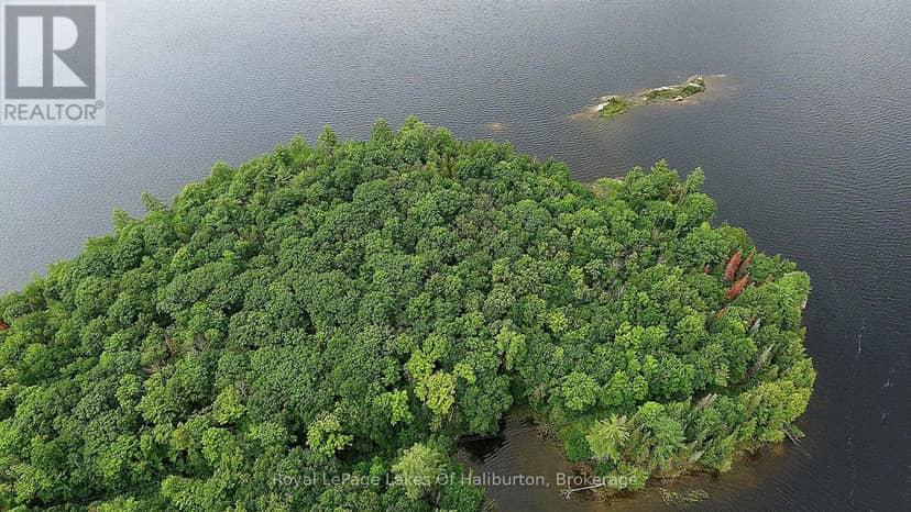 11440 Kushog Lake Wao Island, Algonquin Highlands, photo 7