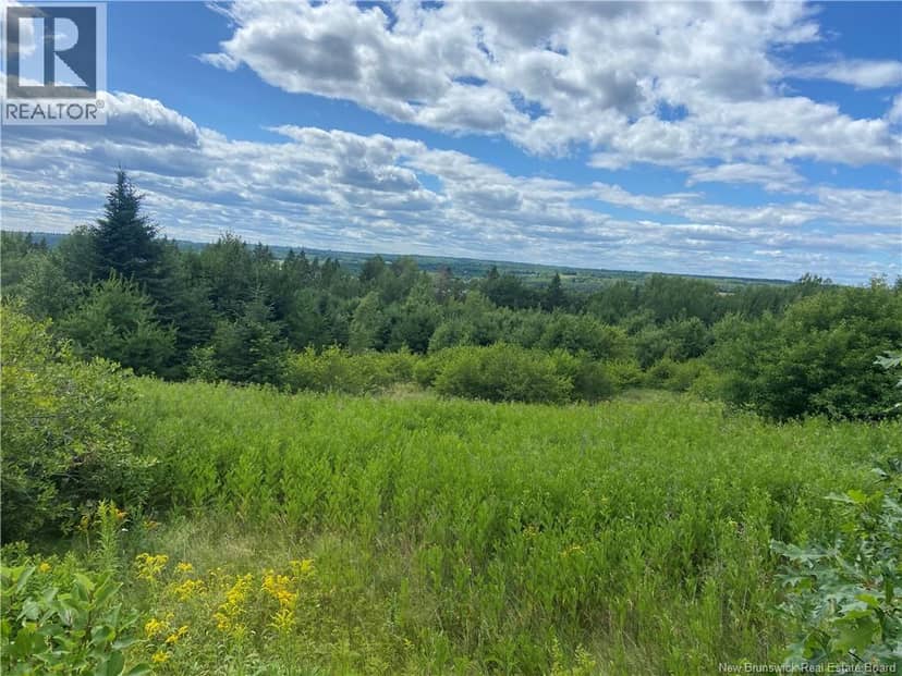Lot Route 710 — photo 21 of 22