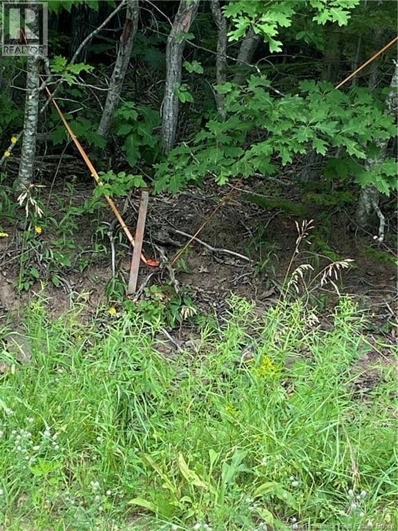 Lot Route 710 — photo 22 of 22